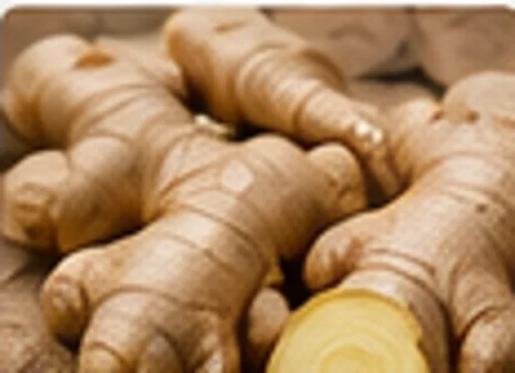 Fresh ginger root, realistic घटक photo