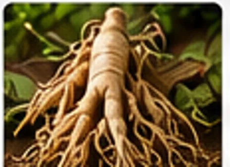Ginseng root, realistic घटक photo
